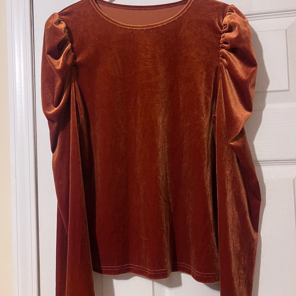 SHEIN Velvet Rust Blouse